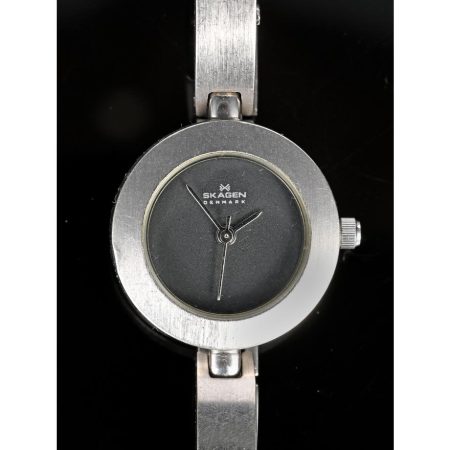 Skagen Denmark Wristwatch
