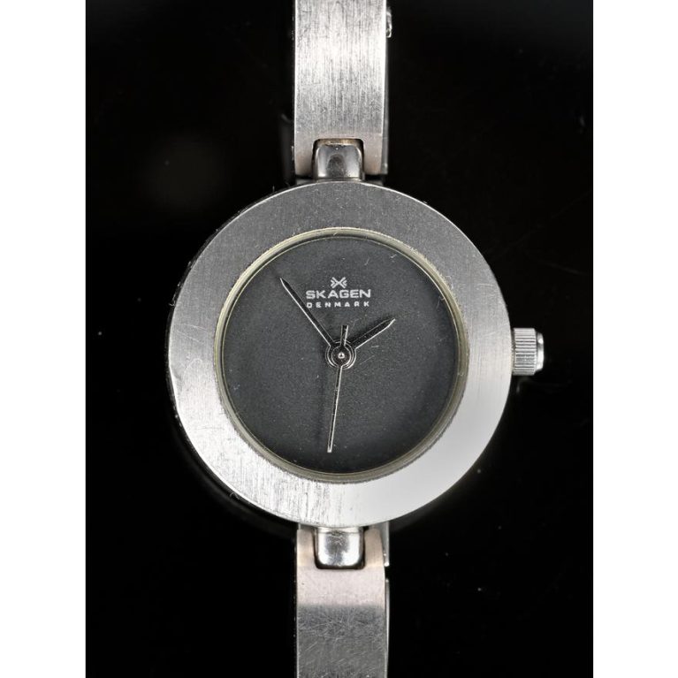 Skagen Denmark Wristwatch